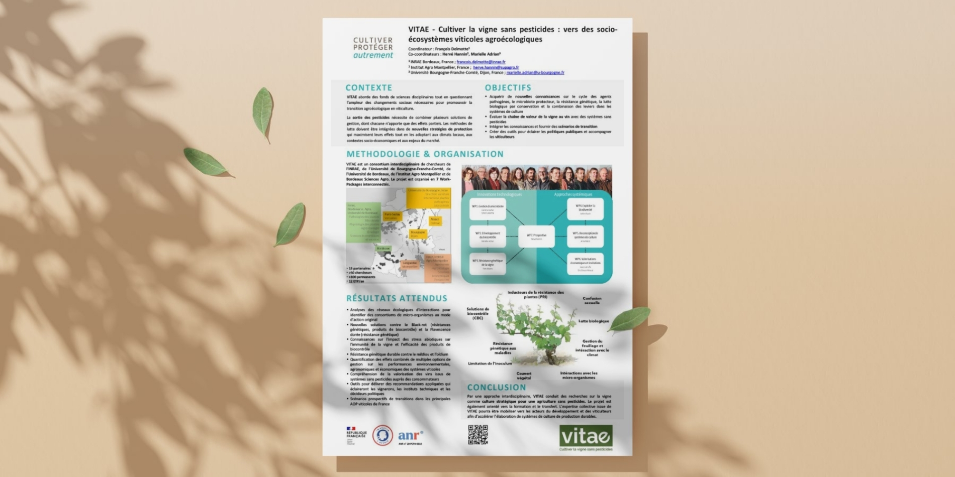 Mockup poster VITAE.jpg Mockup poster VITAE.jpg