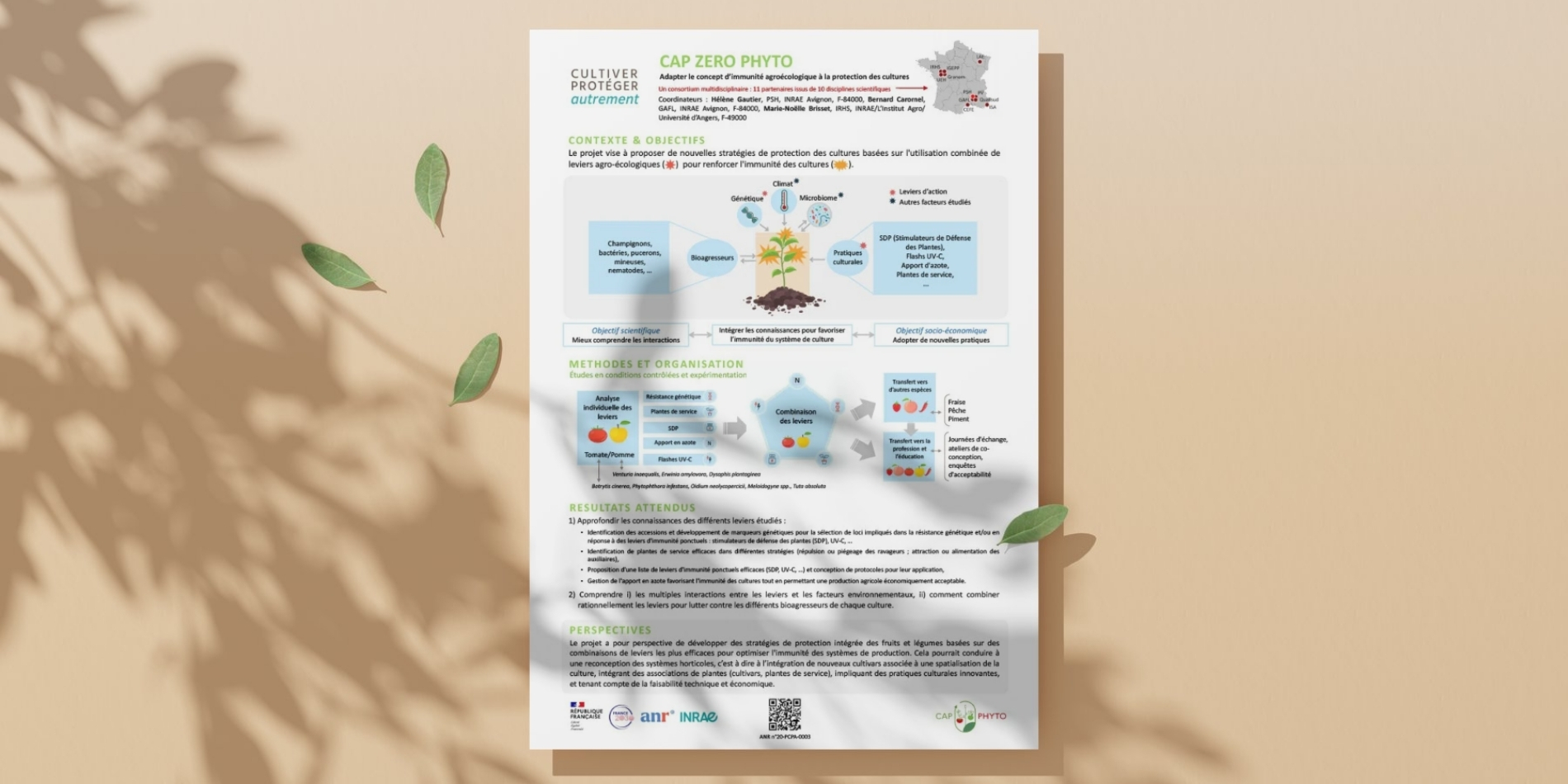 Mockup poster CZP.jpg Mockup poster CZP.jpg