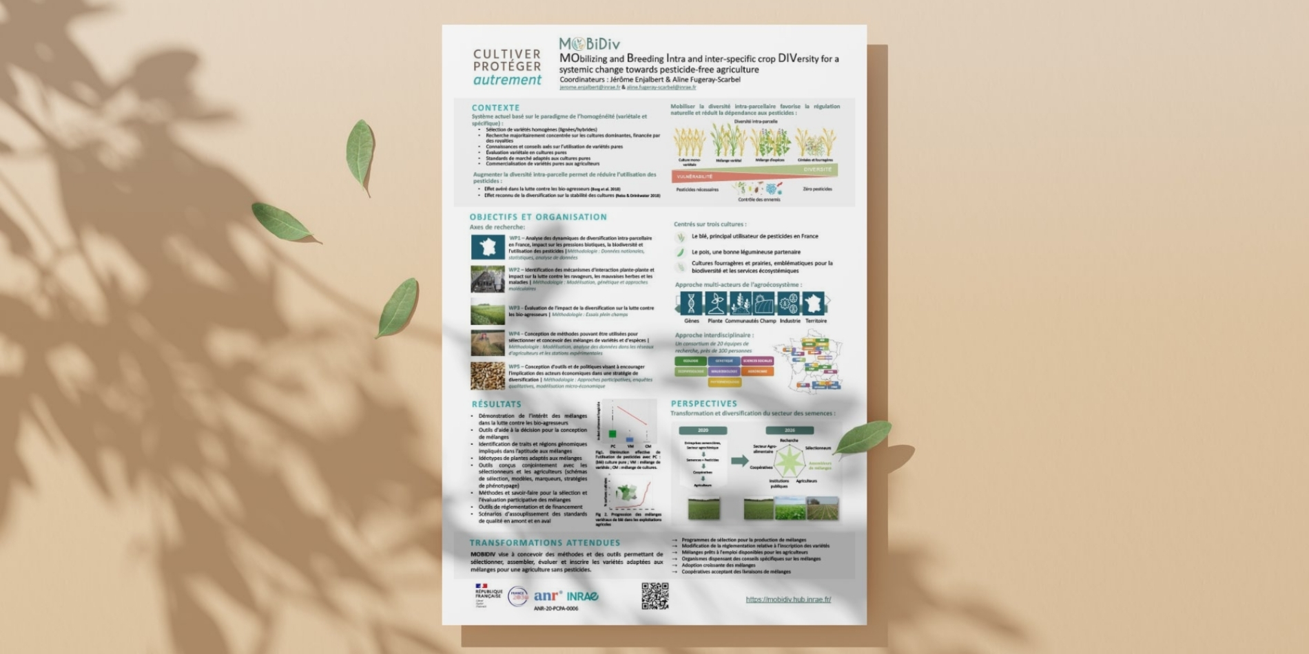 Mockup poster MOBIDIV.jpg Mockup poster MOBIDIV.jpg