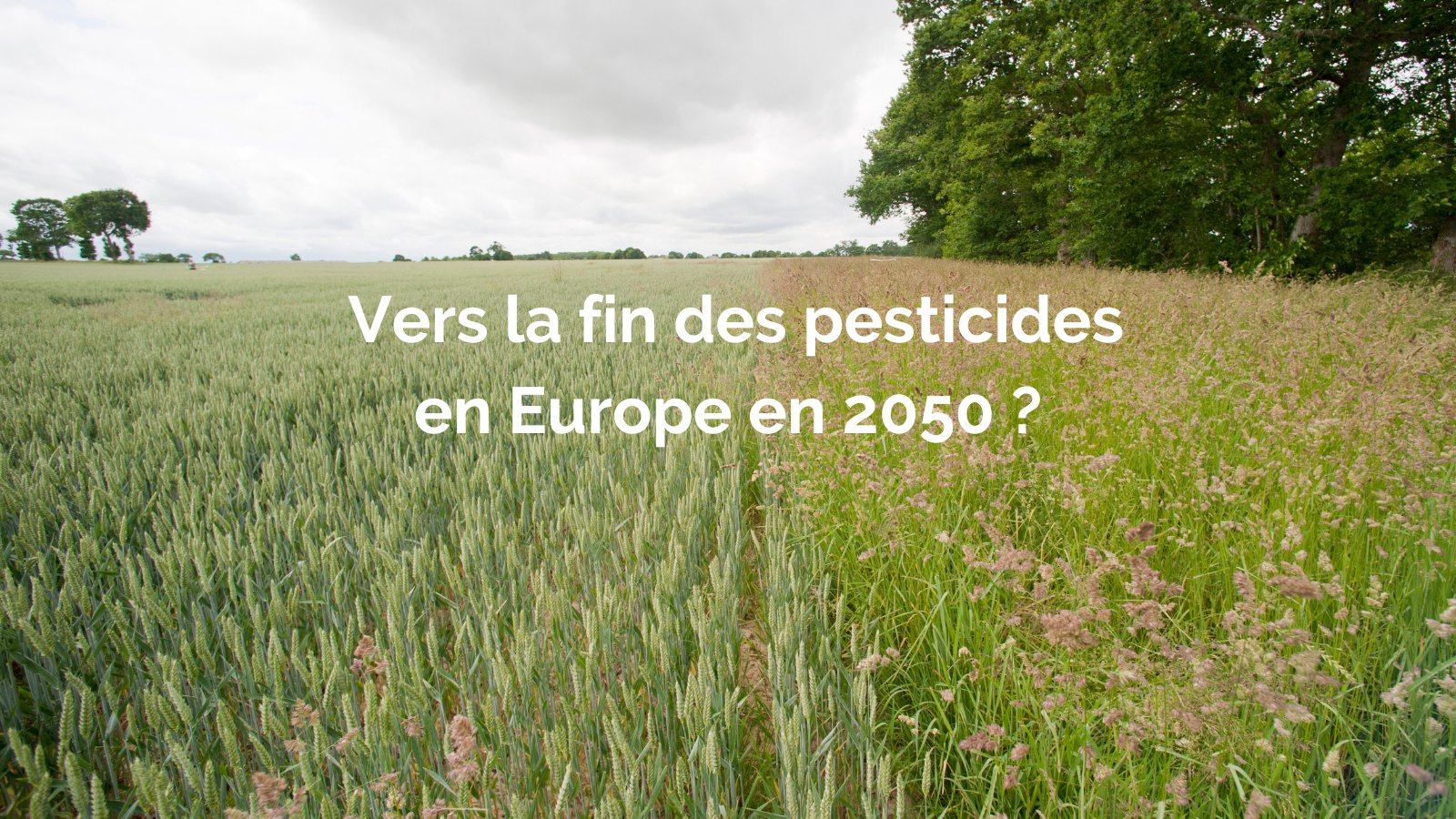 [EVENT] Colloque de restitution des résultats de la Prospective "Agriculture européenne sans pesticides chimiques en 2050"