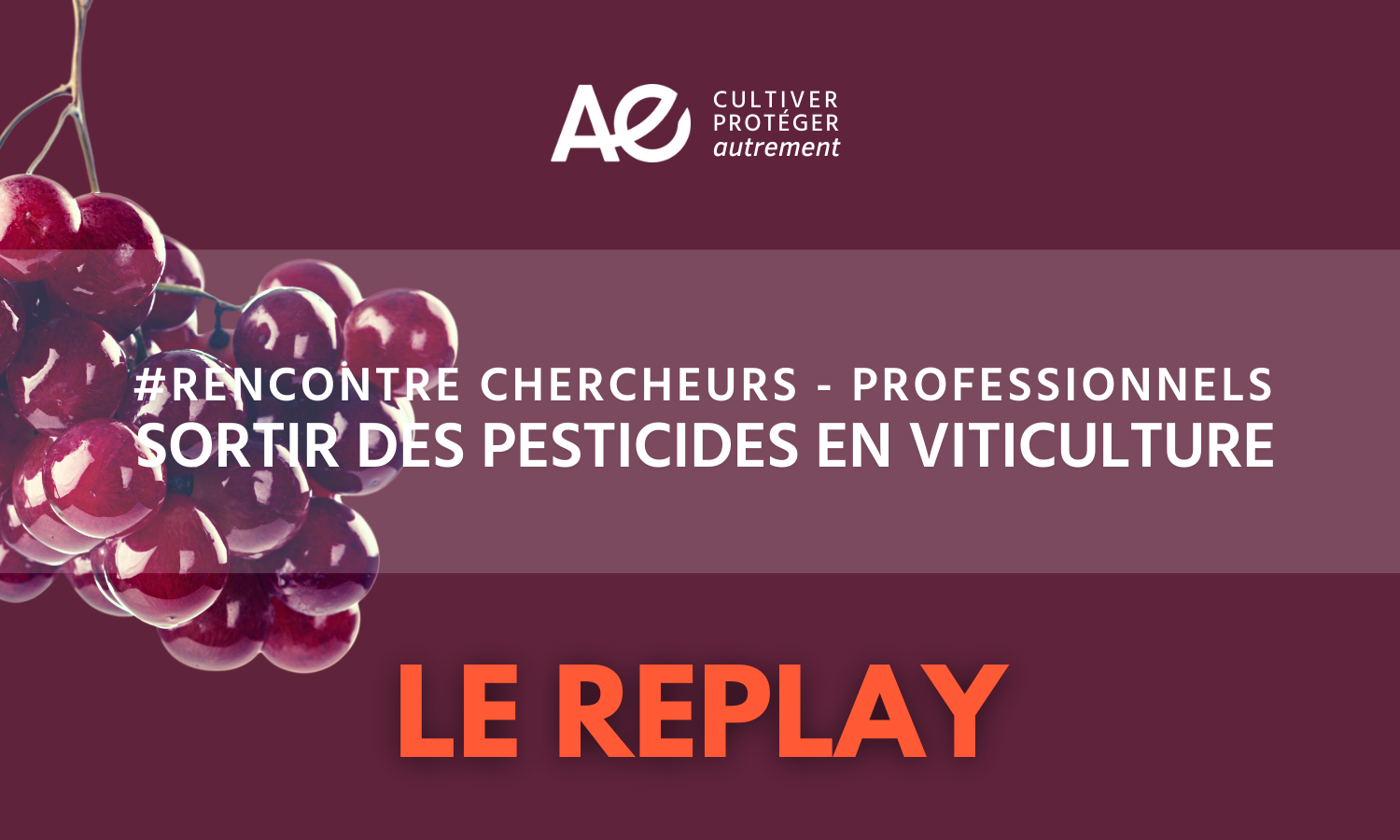 [REPLAY] Rencontre Chercheurs - Professionnels : Sortir des pesticides en viticulture